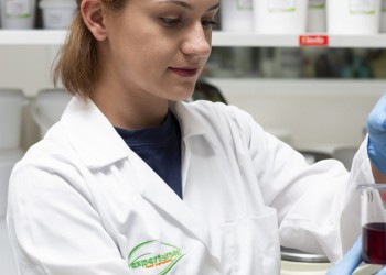 Inovații gustative: Transformând deserturile cu creme și umpluturi rafinate